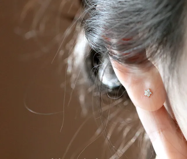 Zircon Flower 925 Silver Stud Earrings